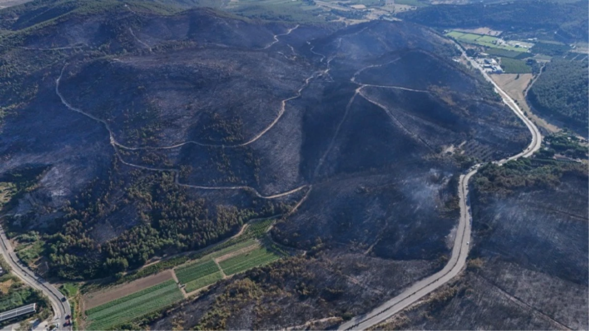 Ciğerimiz yandı! İzmir’de zarar gören ormanlık alan havadan görüntülendi