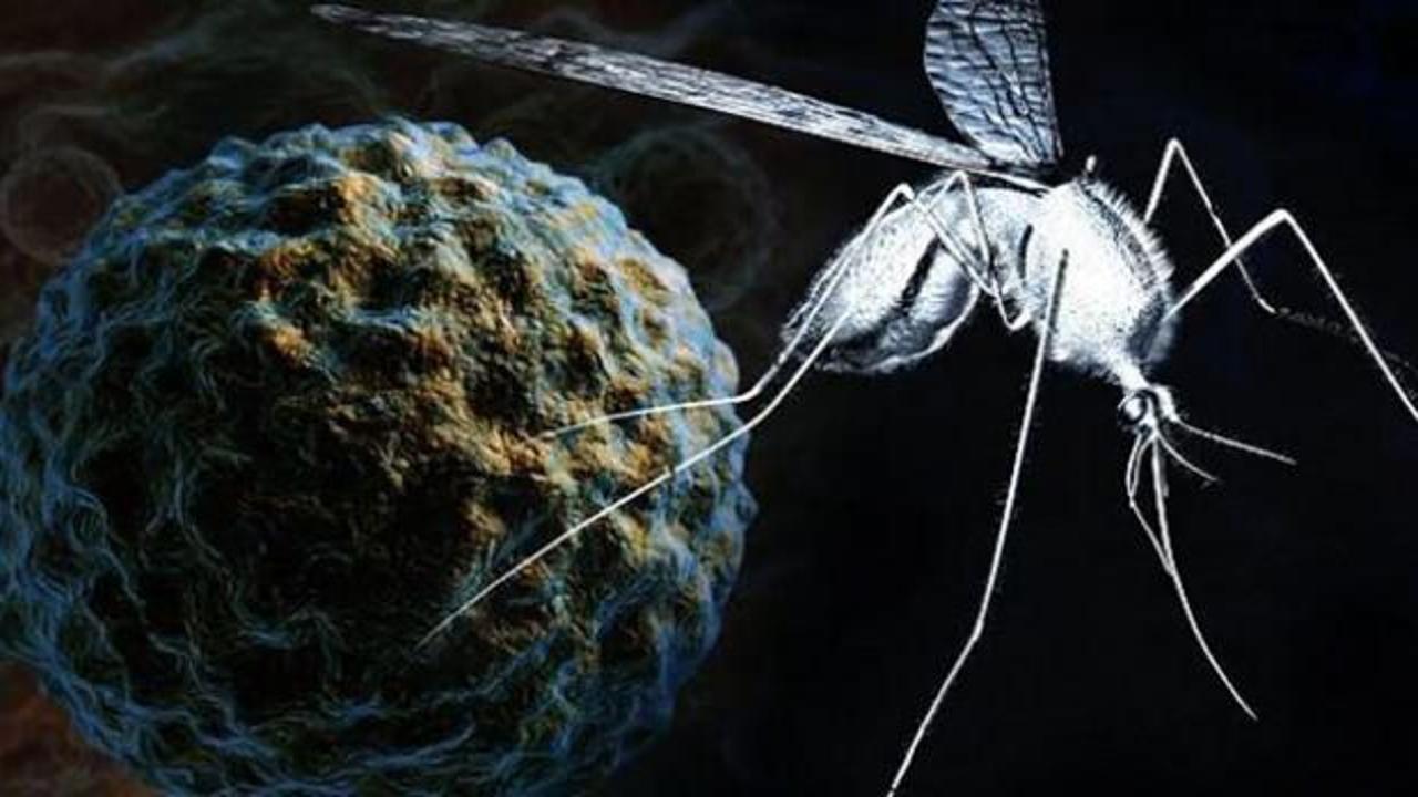 Ölümcül virüs kapıda: Yunanistan’da Batı Nil virüsü alarmı verildi!
