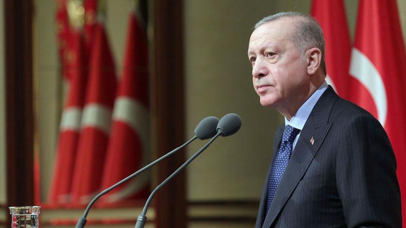 Cumhurbaşkanı Erdoğan, Hollanda Başbakanı Schoof ile telefonda görüştü