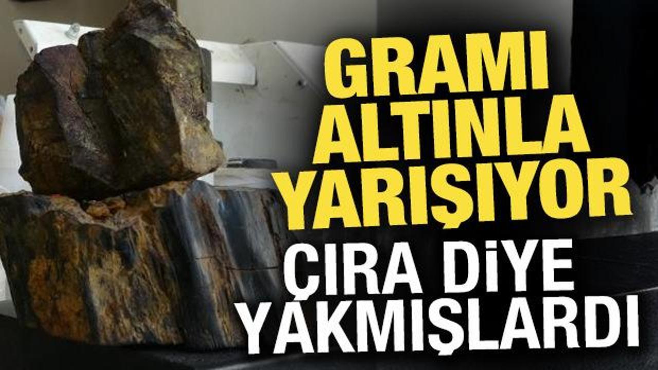 Gramı altınla yarışıyor! Tek tek seçerek topraktan çıkarılıyor: Doğada anlaşılması çok zor