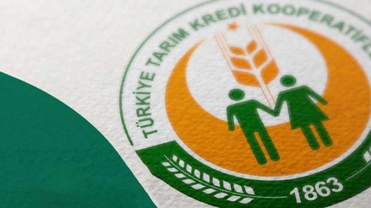 Tarım Kredi Market’te fiyatlar düşüyor! Acele edin ve fırsatı kaçırmayın