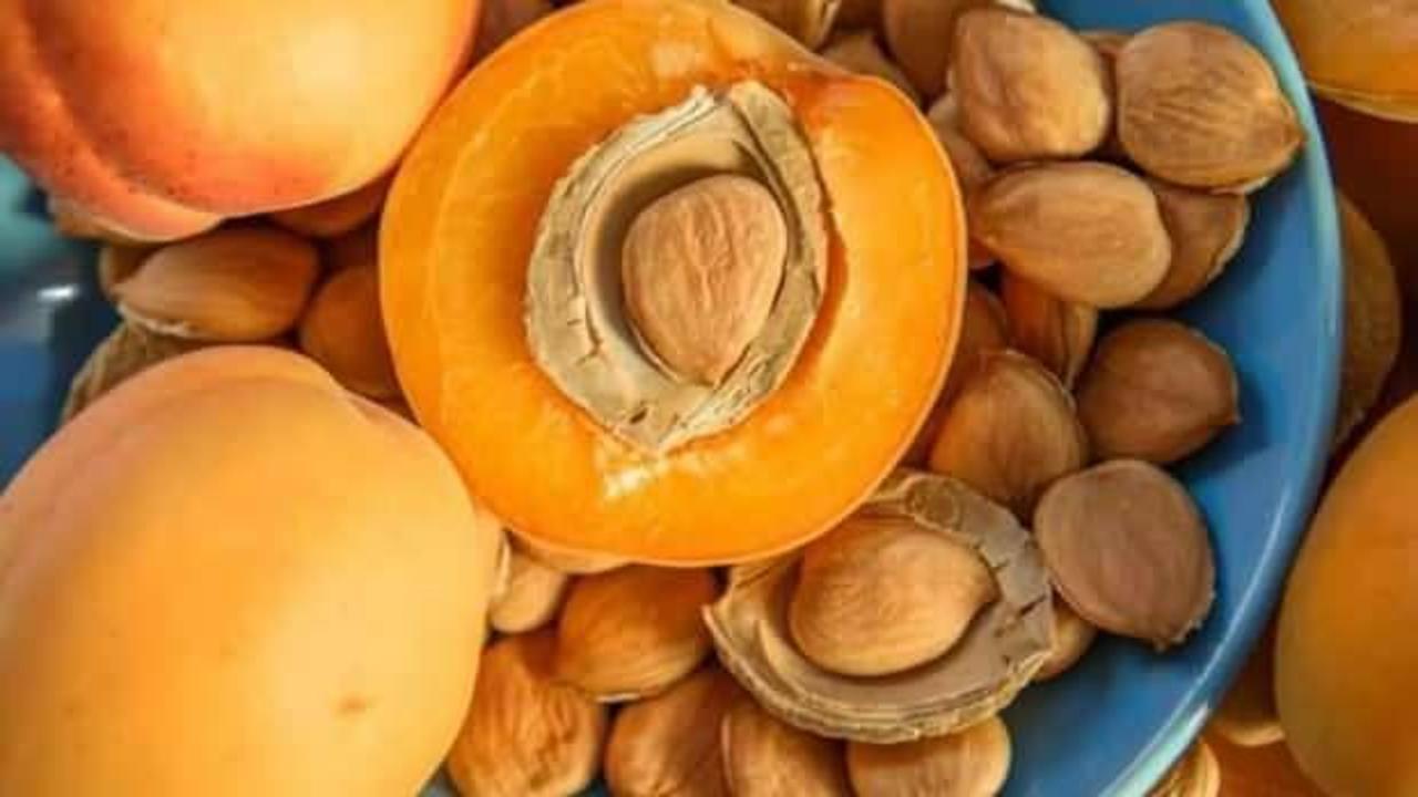 Uzman uyardı: Kayısı çekirdeği siyanür saçıyor, fazlası ölümcül!