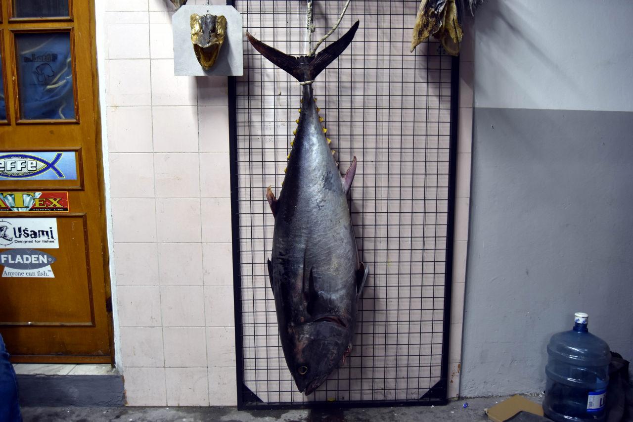 Oltayla yakaladı: Tam 1 metre 74 santim