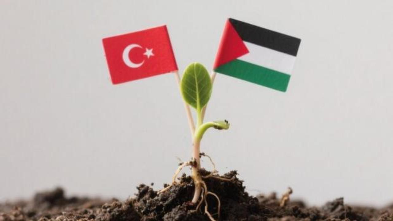 İmam hatipliler şehitlerimiz için fidan dikiyor