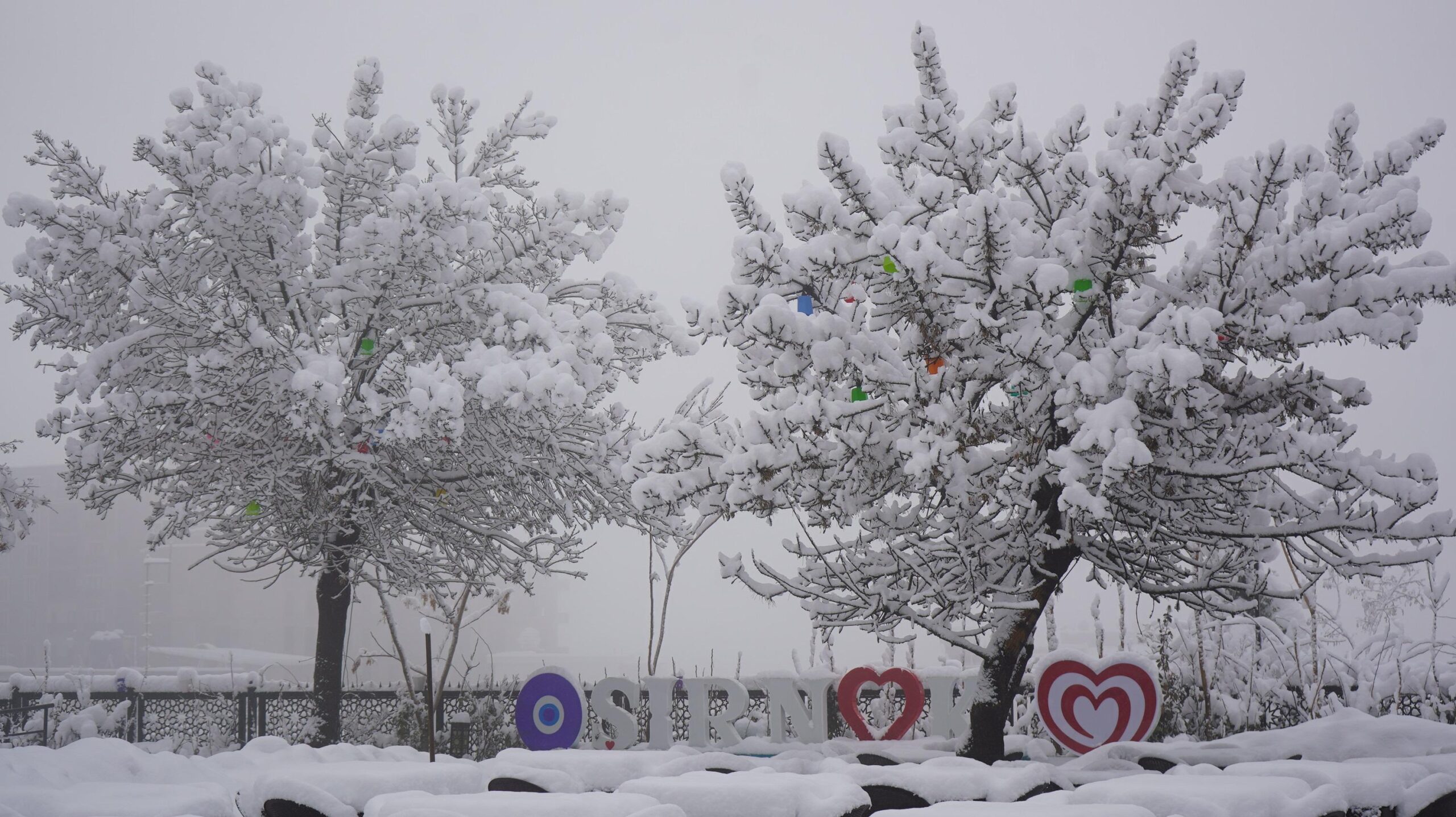 Şırnak’ta kar yağışı