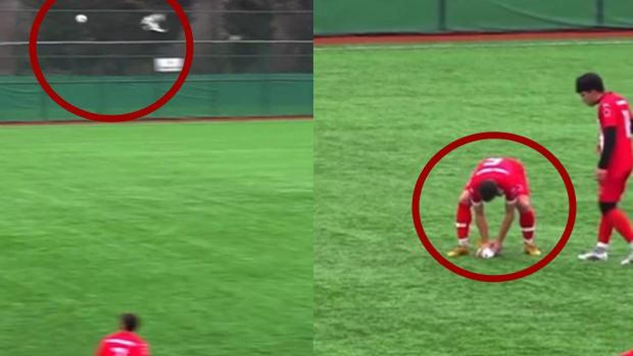 Futbol tarihine geçen martıdan acı haber: Kalecinin vurduğu top çarpmıştı!