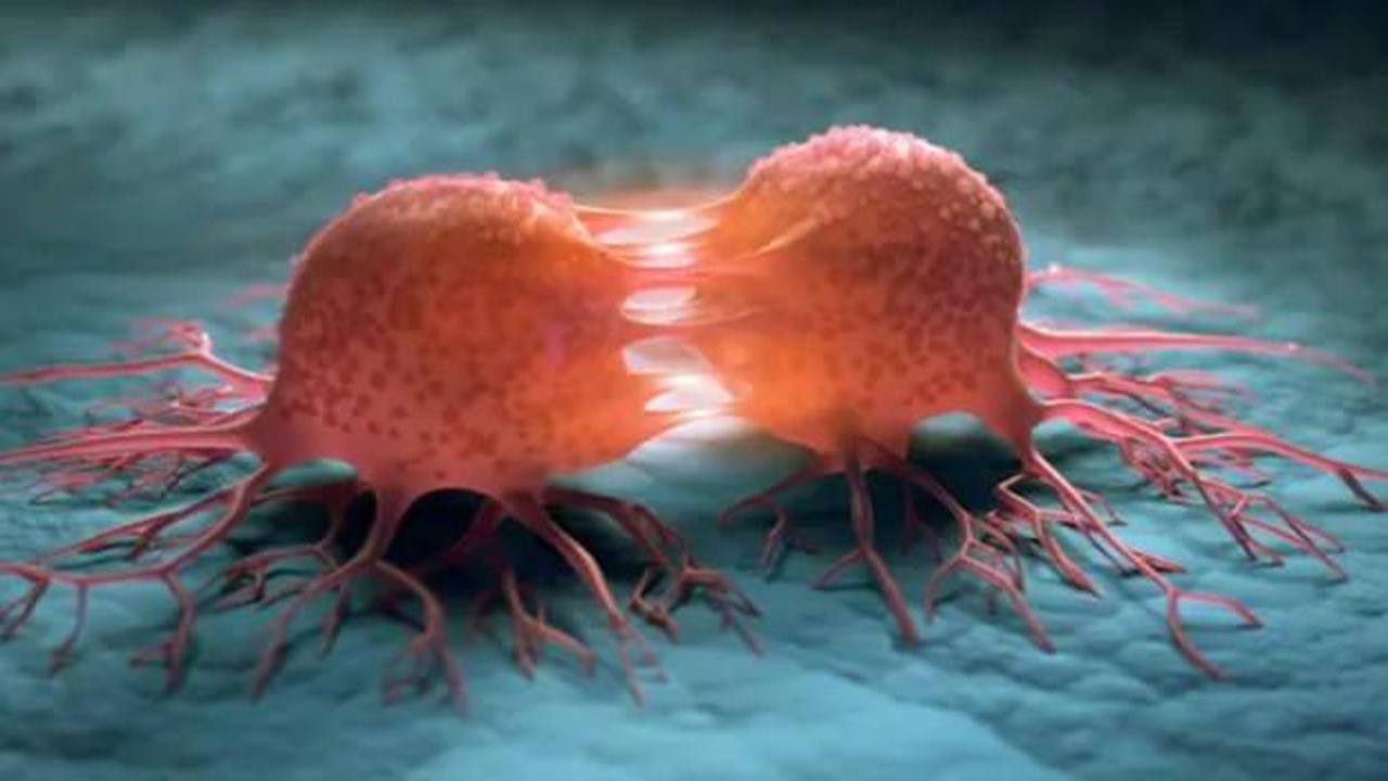 Kanser hücrelerini öldürüyor! Yeni tedavi yöntemi şaşkına çevirdi