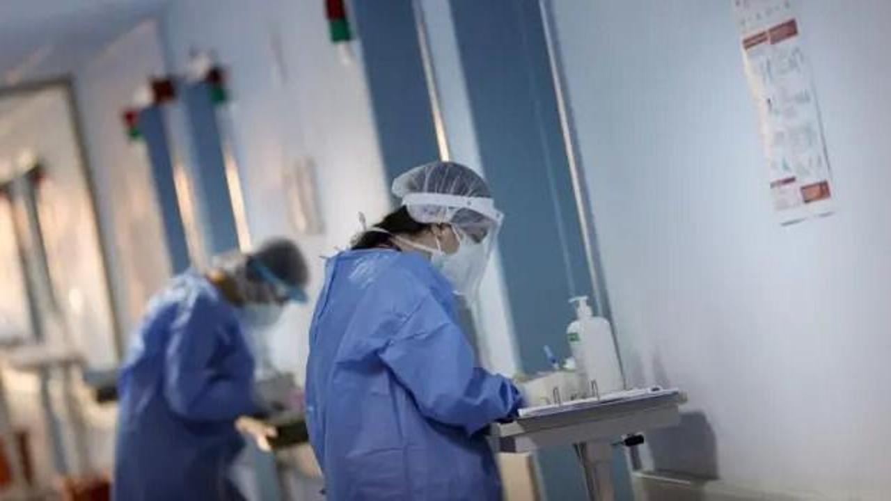 Hantavirüs nedir? Belirtileri, bulaşma yolları, tedavisi ve önleme yöntemleri